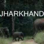 Group logo of Jharkhand (JK)
